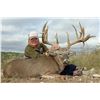 Image 1 : STAR S RANCH: 3-Day Whitetail Deer Hunt for One Hunter and One Non-Hunter in Texas - Includes Trophy