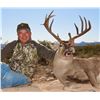 Image 1 : HUNT CONEXION: 6-Day Multi-Species Deer, Predator and Dove/Quail Hunt for One Hunter in Old Mexico -