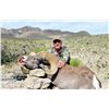 Image 1 : RANCHO LA GUARIDA: 10-Day Desert Bighorn Sheep Hunt for One Hunter and Two Non-Hunters in Chihuahua,