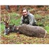 Image 1 : GREAT EUROPEAN: 4-Day Fallow OR Roe Deer Hunt for Two Hunters in Spain - Includes Trophy Fees