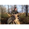 Image 1 : SAFARI INTL: 5-Day Racka Sheep Hunt for One Hunter and One Non-Hunter in Macedonia - Includes Trophy
