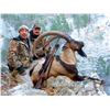 Image 1 : TURKISH FRONTIER: 5-Day Bezoar Ibex Hunt for One Hunter in Turkey - Includes Trophy Fee