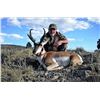 Image 1 : TRIPLE H HUNTING: 4-Day Antelope Hunt for One Hunter in Utah or Nevada - Includes Trophy for Any Siz