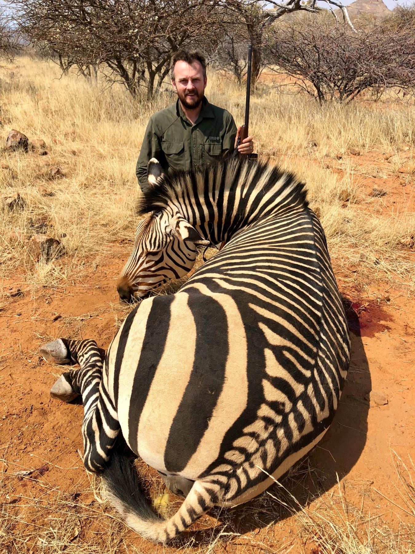 PROHUNTING NAMIBIA: 7-Day Mountain Zebra Hunt for One Hunter and One ...