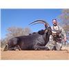 Image 1 : WILD WILDEBEEST SAFARIS: 5-Day Sable and Blue Wildebeest Safari for Two Hunters in South Africa - In