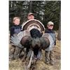 Image 1 : EXPRESS UU BAR RANCH: 3-Day Bearded Turkey Hunt for Two Hunters in New Mexico