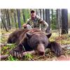 Image 1 : LINEHAN OUTFITTING CO: 5-Day/6-Night Spring Bear Hunt for Two Hunters in Montana