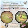 Image 1 : MAARTENS SAFARIS: 3-Day/4-Night Vaal Rhebok Hunt for One Hunter and One Non-Hunter in Western Cape,