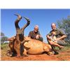 Image 1 : LIAM URRY SAFARIS: 8-Day Plains Game Safari for Two Hunters and Two Non-Hunters in South Africa - In