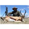 Image 1 : WORMALD HUNTING ADVENTURES: 6-Day Plains Game Safari for Two Hunters in South Africa - Includes Trop