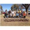 Image 1 : PHEASANTS GALORE: 1-Day/2-Night Pheasant and Chukar Wingshooting Hunt for Two Hunters in Kansas