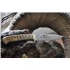 Image 7 : "MY FAVORITE" WSF CUSTOM DAMASCUS STONE'S SHEEP KNIFE