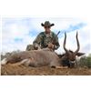 Image 5 : 5- DAY HUNTING SAFARI - ZEEKOEPAN SAFARIS, PONGOLA, KWAZULU-NATAL, SOUTH AFRICA FOR 2 HUNTERS