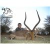 Image 6 : 5- DAY HUNTING SAFARI - ZEEKOEPAN SAFARIS, PONGOLA, KWAZULU-NATAL, SOUTH AFRICA FOR 2 HUNTERS