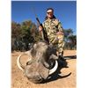 Image 12 : 7-DAY SOUTH AFRICAN HUNT FOR 2 HUNTERS + PHOTO SAFARI