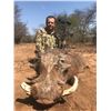 Image 14 : 7-DAY SOUTH AFRICAN HUNT FOR 2 HUNTERS + PHOTO SAFARI