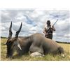 Image 3 : 7-DAY SOUTH AFRICAN HUNT FOR 2 HUNTERS + PHOTO SAFARI