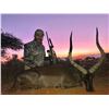 Image 7 : 7-DAY SOUTH AFRICAN HUNT FOR 2 HUNTERS + PHOTO SAFARI