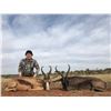 Image 9 : 7-DAY SOUTH AFRICAN HUNT FOR 2 HUNTERS + PHOTO SAFARI