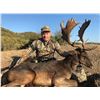 Image 2 : 5 -DAY RUSSIAN WILD BOAR AND FALLOW DEER HUNT FOR 1 HUNTER AND 1 NON-HUNTER