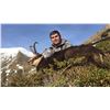 Image 2 : 3-DAY PYRENEAN CHAMOIS HUNT FOR 1 HUNTER AND 1 NON-HUNTER