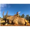 Image 2 : 7-DAY SABLE BULL OR ROAN ANTELOPE HUNT FOR 1 HUNTER