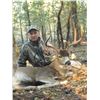 Image 8 : 6 - DAY COLUMBIA BLACK TAIL DEER & COASTAL BLACK BEAR HUNT FOR 1 HUNTER