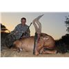 Image 4 : 5 - DAY HUNT FOR SABLE, BLUE WILDEBEEST, RED HARTEBEEST & IMPALA FOR 2 HUNTERS