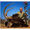 Image 5 : 5 - DAY HUNT FOR SABLE, BLUE WILDEBEEST, RED HARTEBEEST & IMPALA FOR 2 HUNTERS