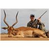 Image 7 : 5 - DAY HUNT FOR SABLE, BLUE WILDEBEEST, RED HARTEBEEST & IMPALA FOR 2 HUNTERS