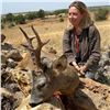 Image 7 : 4 - DAY HUNT FOR 2 HUNTERS IN SPAIN