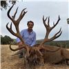 Image 8 : 4 - DAY HUNT FOR 2 HUNTERS IN SPAIN