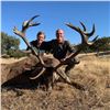 Image 9 : 4 - DAY HUNT FOR 2 HUNTERS IN SPAIN