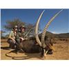 Image 2 : 8 - DAY SABLE HUNT FOR 2 HUNTERS AND 2 NON-HUNTERS