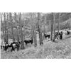 Image 8 : 7 - NIGHT ALL INCLUSIVE VACATION ON THE 7D RANCH IN WYOMING WILDERNESS FOR 2 PEOPLE