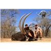 Image 2 : 7 - DAY SABLE HUNT FOR 1 HUNTER AND 1 NON-HUNTER IN SOUTH AFRICA