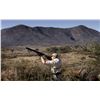 Image 2 : 3 - DAY DOVE HUNT IN ARGENTINA FOR 8 HUNTERS