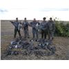 Image 2 : 3 - DAY GOOSE & DUCK HUNT IN ALBERTA CANADA FOR 1 HUNTER