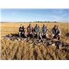 Image 3 : 3 - DAY GOOSE & DUCK HUNT IN ALBERTA CANADA FOR 1 HUNTER