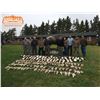 Image 7 : 3 - DAY GOOSE & DUCK HUNT IN ALBERTA CANADA FOR 1 HUNTER