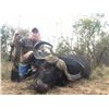 7-DAY CAPE BUFFALO HUNT FOR 1 HUNTER