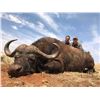 Image 5 : 7-DAY CAPE BUFFALO HUNT FOR 1 HUNTER