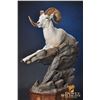 Image 2 : LIFE-SIZE WILD SHEEP MOUNT WITH HABITAT AND BASE FOR 2021 SHEEP SHOW THE EXPERIENCE!
