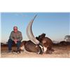 Image 5 : 7-DAYS SABLE HUNT IN SOUTH AFRICA FOR 1 HUNTER