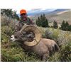 Image 2 : WYOMING ROCKY MOUNTAIN BIGHORN SHEEP LICENSE