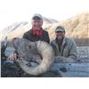 Image 4 : WYOMING ROCKY MOUNTAIN BIGHORN SHEEP LICENSE