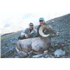 Image 5 : WYOMING ROCKY MOUNTAIN BIGHORN SHEEP LICENSE