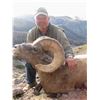 Image 9 : WYOMING ROCKY MOUNTAIN BIGHORN SHEEP LICENSE
