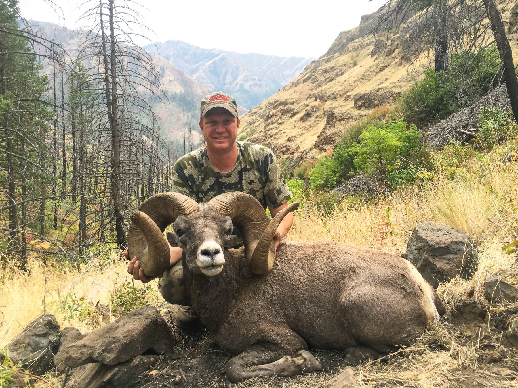 IDAHO BIGHORN SHEEP WSF World Headquarters