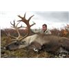 Image 6 : 9 - DAY MOUNTAIN GOAT OR CARIBOU HUNT IN BRITISH COLUMBIA FOR 1 HUNTER